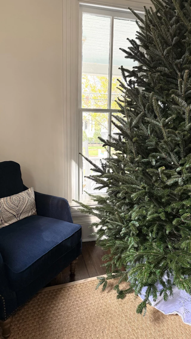 here’s just a few Christmas gift ideas 💭🎁🎄

holiday skincare gifts, charlotte medspa gifts, dilworth facial plastics, best skincare gifts 2025, charlotte skincare clinic, aesthetic gift ideas, skincare gift guide, holiday beauty gift guide, medical grade skincare charlotte, botox gift card charlotte, skincare stocking stuffers, dermal filler gift card, facial gift card charlotte, winter skincare essentials, skincare routine gifts, anti-aging skincare gifts, glow up gifts, skincare lovers gift ideas, hydrating skincare gifts, medspa holiday specials, charlotte botox deals, charlotte filler specials, christmas self care gifts, christmas skincare ideas, glow facial charlotte, microneedling gift card, chemical peel gift card, holiday self care ideas, gift ideas for skincare lovers, charlotte aesthetics